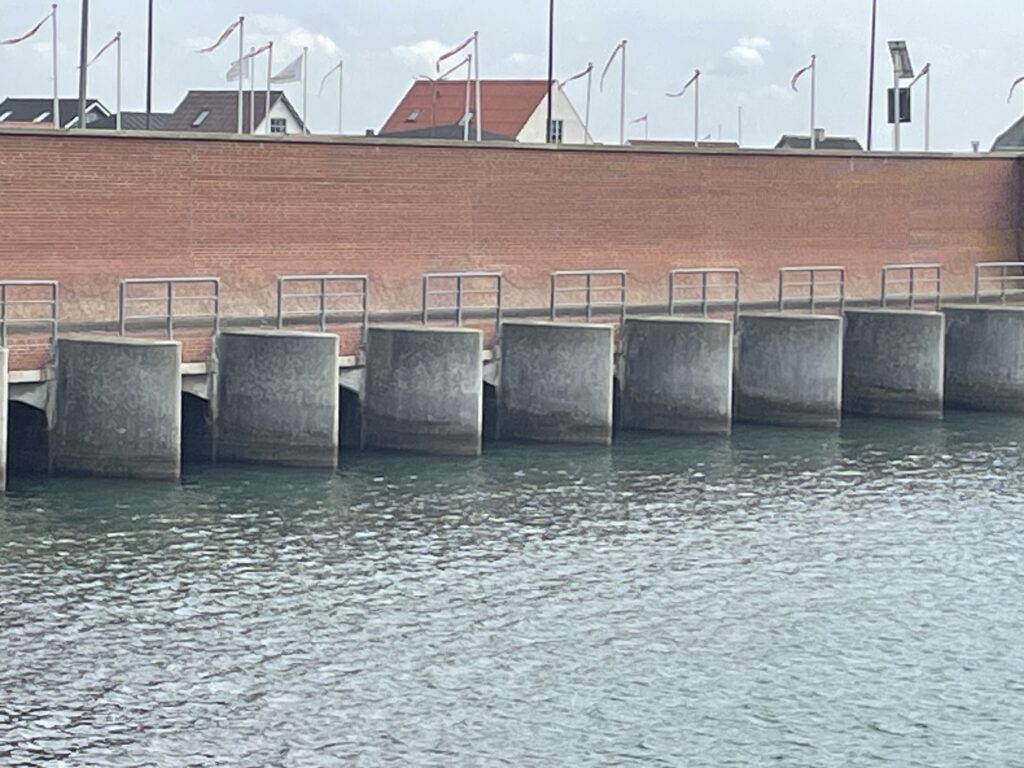 Diger og dæmning